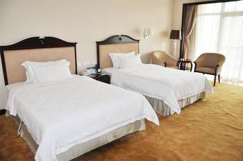 ��╞���Ƶ�