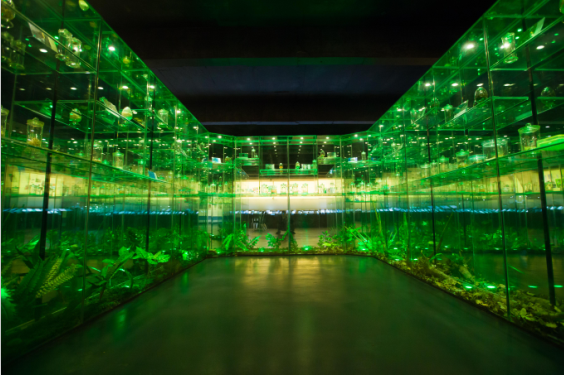 �Ї�(gu��)�x�ݲ����^