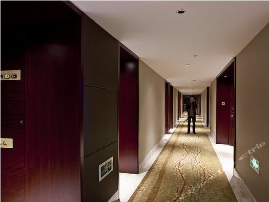 ͩ�]����Ƶ�