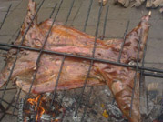 �Ĵ���������(zh��n)�쾮�w�͗�