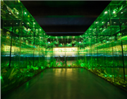 �Ї�(gu��)�x�ݲ����^