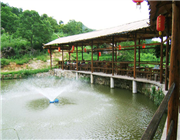 �����r(n��ng)�f�T(m��n)Ʊ