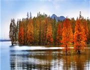 �R����ɽ���L(f��ng)���^(q��)