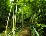 �R����ˮ���L(f��ng)���^(q��)